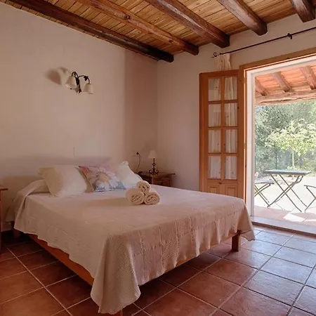 Grane San José